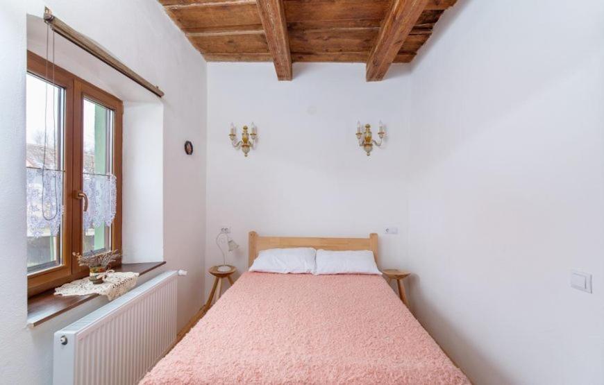 Casa Eva Wagner - Biertan Otel Dış mekan fotoğraf